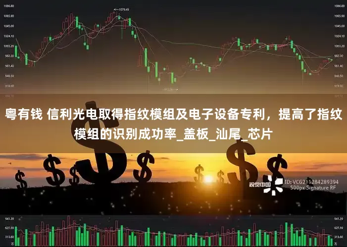 粤有钱 信利光电取得指纹模组及电子设备专利，提高了指纹模组的识别成功率_盖板_汕尾_芯片