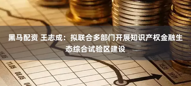 黑马配资 王志成：拟联合多部门开展知识产权金融生态综合试验区建设