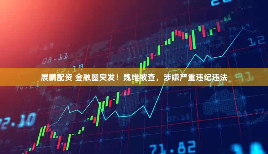 展鵬配资 金融圈突发！魏维被查，涉嫌严重违纪违法